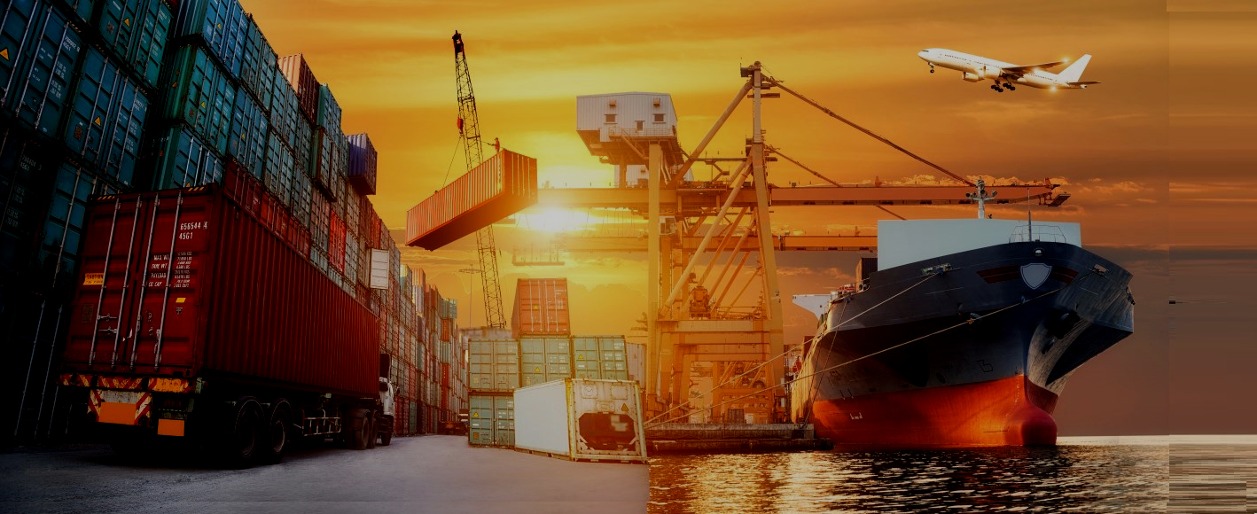 DOMESTIC COURIER SOLUTION